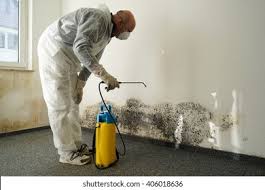 Why You Should Choose Our Mold Remediation Services in Winlock, WA